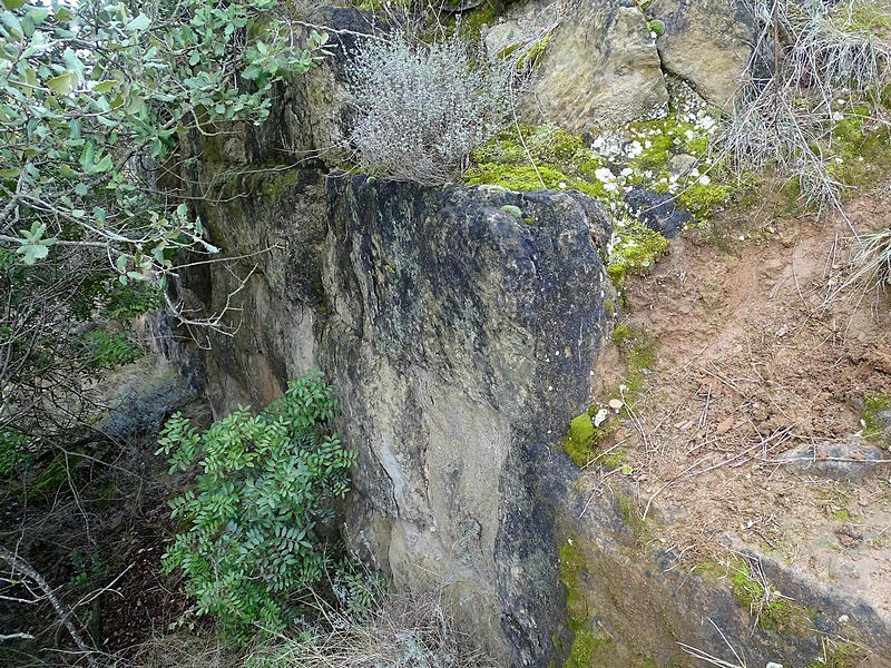 Castillo de Torreblanca