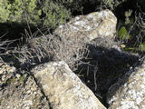 Castillo de Torreblanca