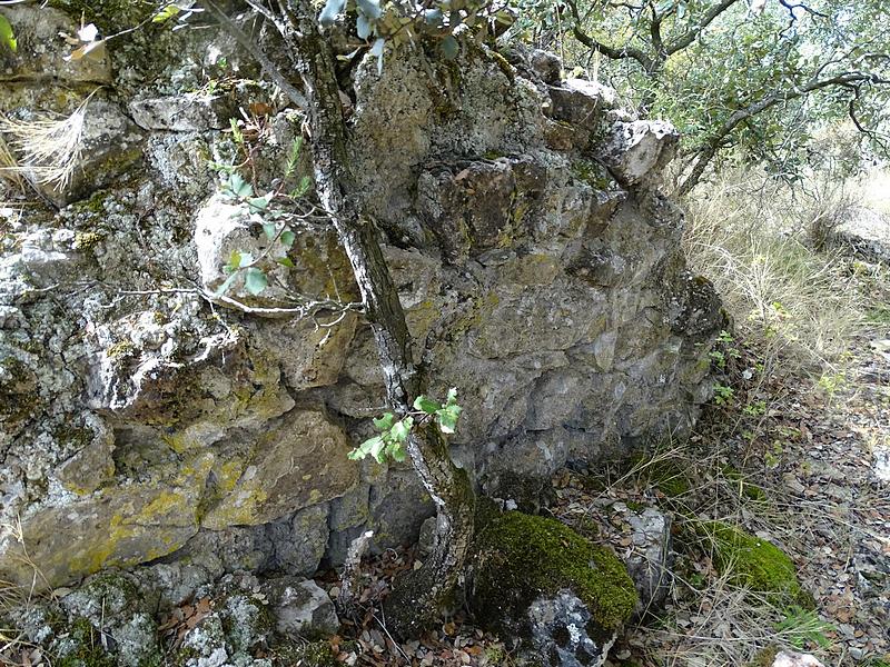 Castillo de la Torreta de Secardit