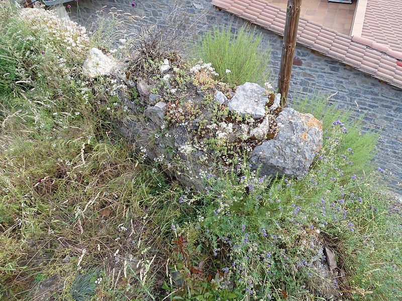 Castillo de Sarroca de Bellera