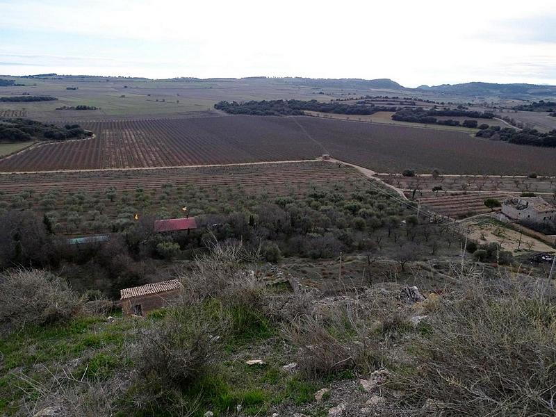 Castillo de la Figuera