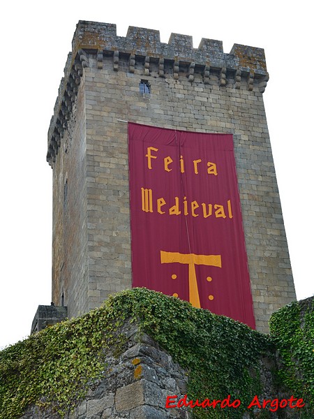 Castillo de Monforte