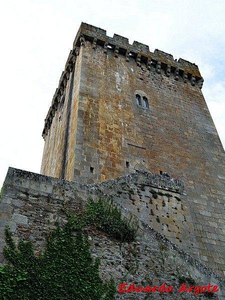 Castillo de Monforte