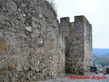 Castillo de Monforte