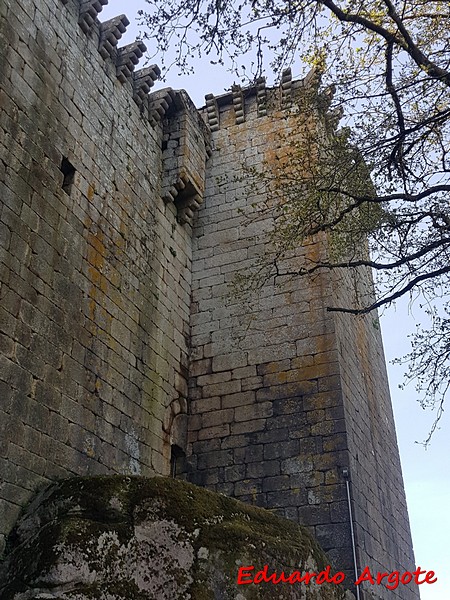 Castillo de Pambre