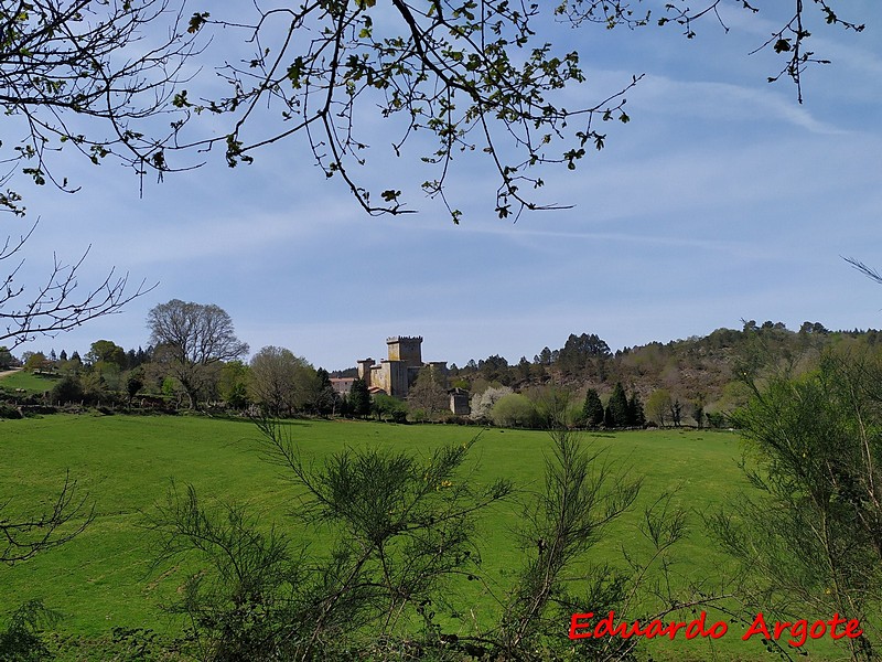 Castillo de Pambre