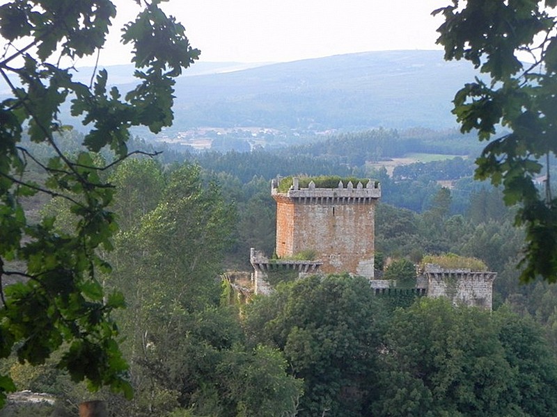 Castillo de Pambre