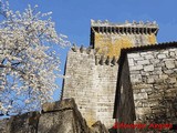 Castillo de Pambre