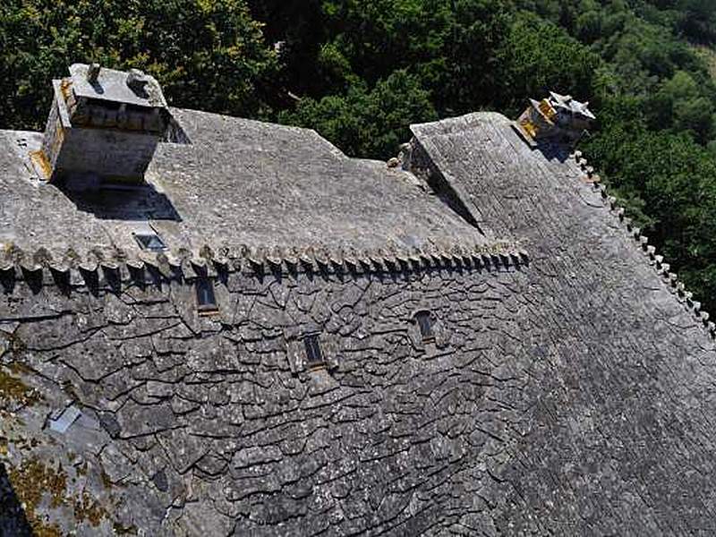 Castillo de San Paio de Narla