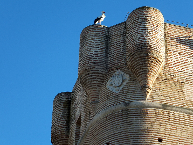 Torre del Pan