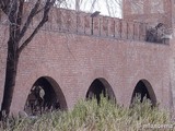 Muralla urbana de Alcalá de Henares