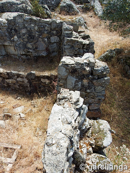 Casa fortificada de Navalagamella