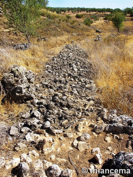 Yacimiento arqueológico de Santa María