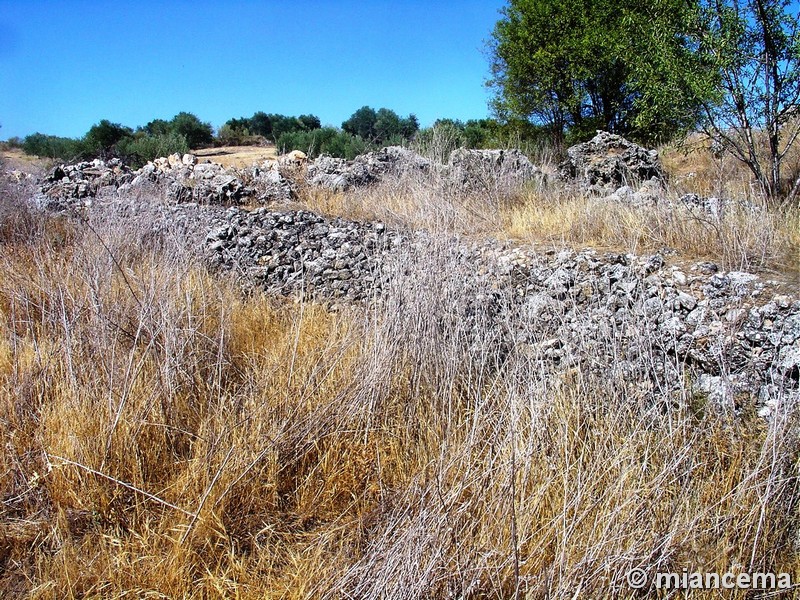 Yacimiento arqueológico de Santa María