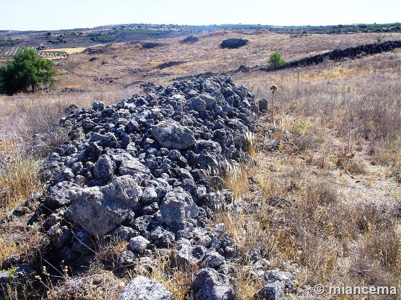 Yacimiento arqueológico de Santa María