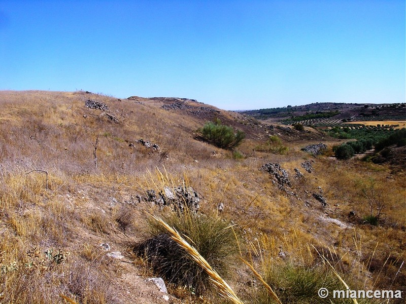 Yacimiento arqueológico de Santa María