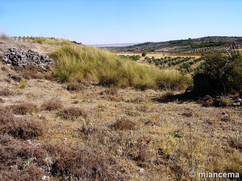 Yacimiento arqueológico de Santa María