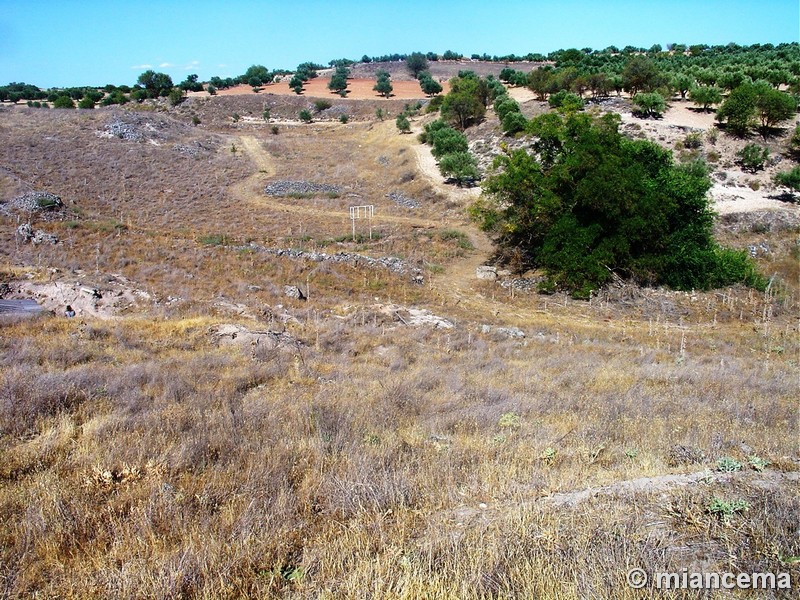 Yacimiento arqueológico de Santa María