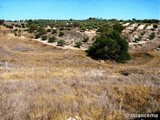 Yacimiento arqueológico de Santa María