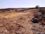 Yacimiento arqueológico de Santa María