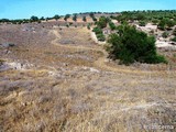 Yacimiento arqueológico de Santa María