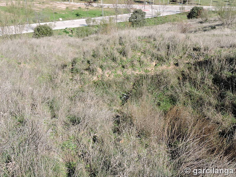 Búnkers y trincheras de la calle Acanto