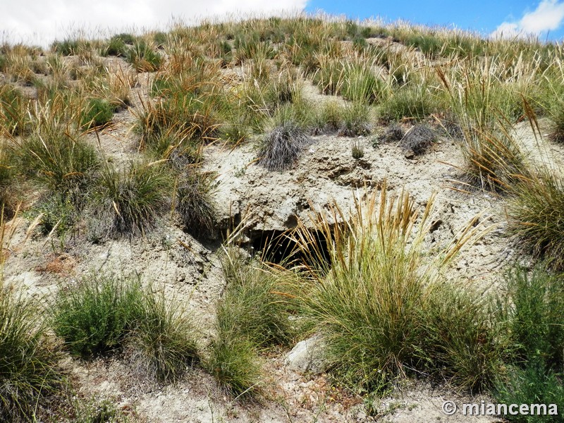 Bunker Hexagonal, trincheras y refugios