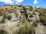 Bunker Hexagonal, trincheras y refugios