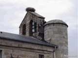 Iglesia fortificada de Santa María de la Asunción