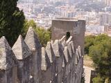 Castillo de Gibralfaro