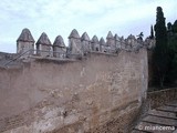 Castillo de Gibralfaro