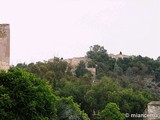 Castillo de Gibralfaro