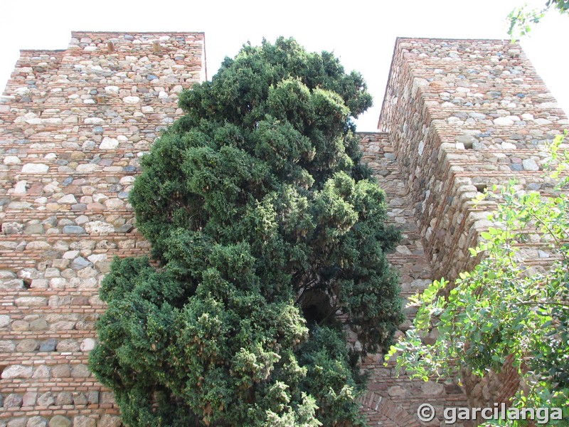 Alcazaba de Málaga