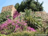 Alcazaba de Málaga