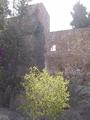 Alcazaba de Málaga