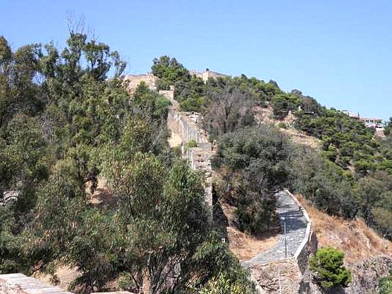 Coracha de Málaga