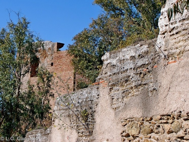 Coracha de Málaga