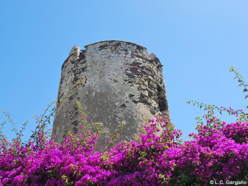 Torre Muelle