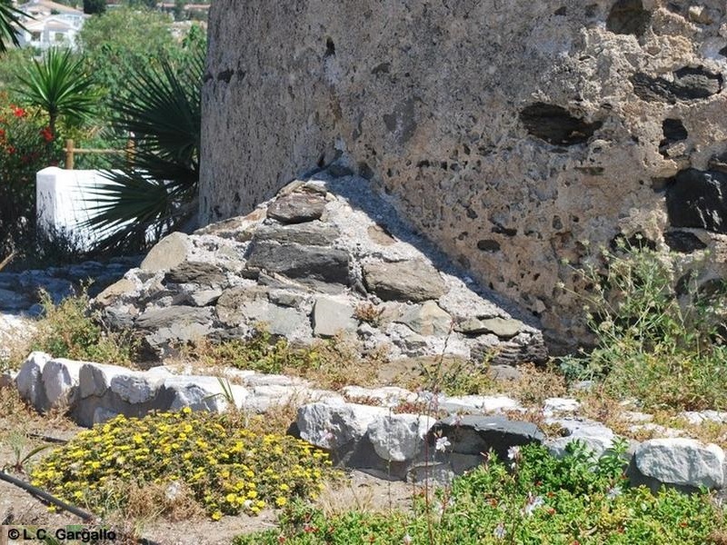 Torre Muelle