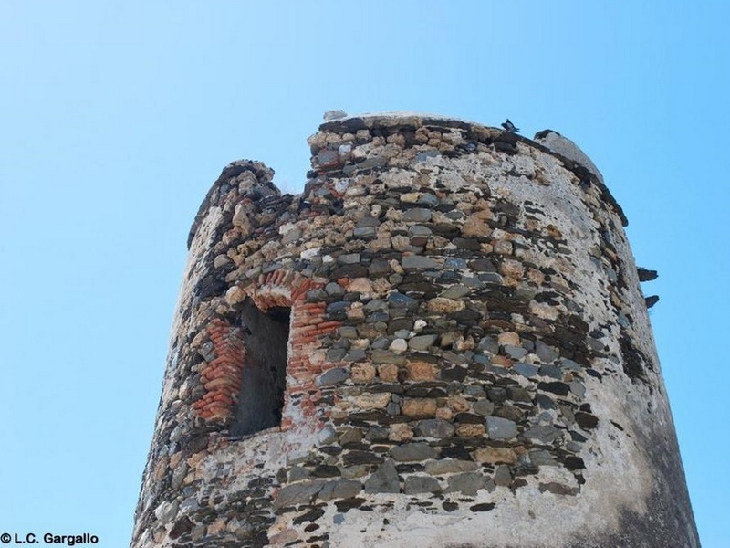 Torre Muelle