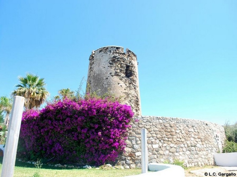 Torre Muelle