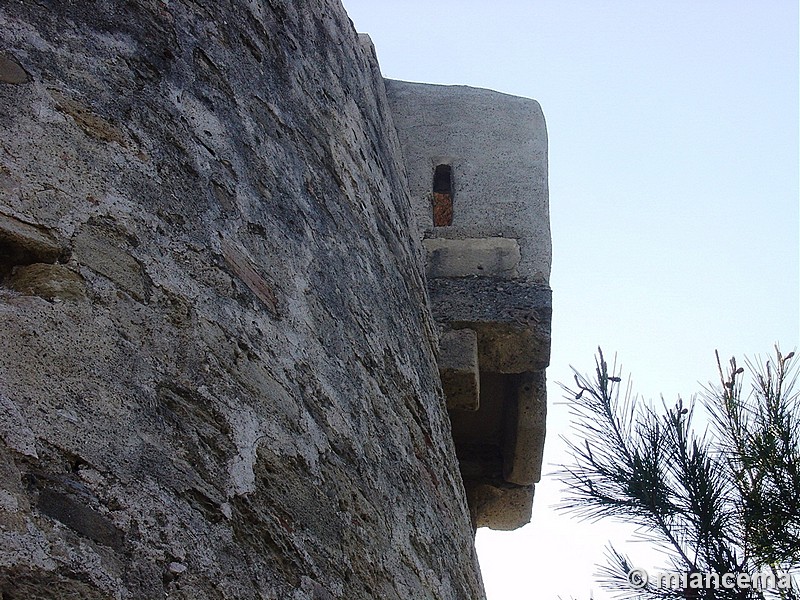 Torre de Río Real