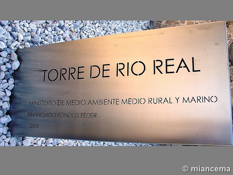 Torre de Río Real