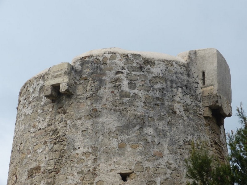 Torre de Río Real