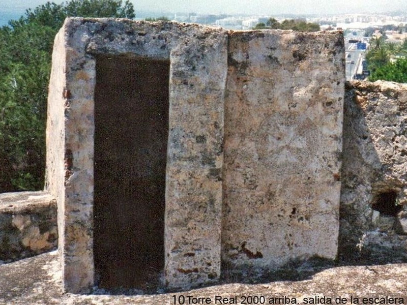 Torre de Río Real