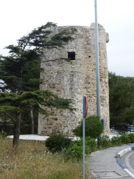 Torre de Río Real