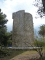 Torre de Río Real