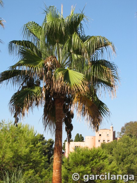 Castillo de Santa Catalina