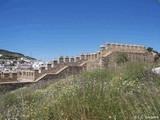 Muralla urbana de Antequera