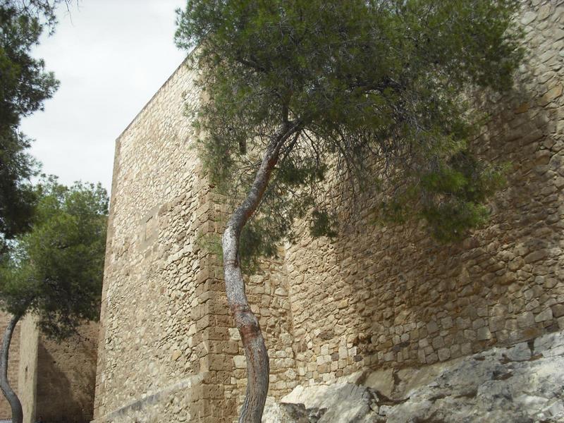 Castillo de Caravaca de la Cruz